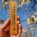 Температура поднимается до +19°C: прогноз погоды на сегодня, 24 марта