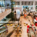 Vlad Bilețchi susține că cei care și-au dat demisia din cauza licitației de la aeroport au înțeles că vor face pușcărie: Se clatină și scaunul directorului Consiliului Concurenței