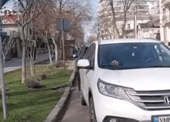 Fosta ministră Ana Revenco, surprinsă parcând neregulamentar lângă Președinție