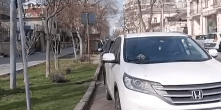 Fosta ministră Ana Revenco, surprinsă parcând neregulamentar lângă Președinție