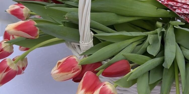 Flori pentru femeile din Orhei și Bălți: reprezentanții echipei lui Ilan Șor au organizat un flash mob pe străzile din aceste orașe