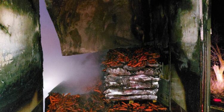 Incendiu pe traseul Leușeni-Chișinău: Un camion încărcat cu 21 de tone de morcov a fost mistuit de flăcări