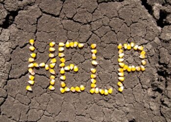 372 de agricultori solicită sprijin financiar după ce au suferit pierderi în urma calamităților din vara anului 2023