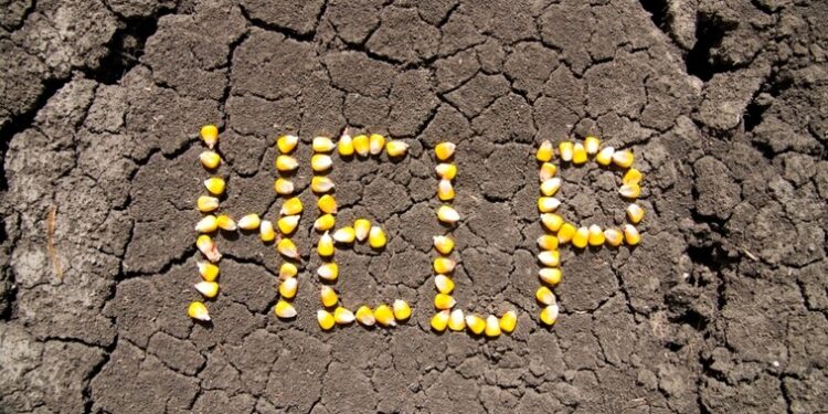 372 de agricultori solicită sprijin financiar după ce au suferit pierderi în urma calamităților din vara anului 2023