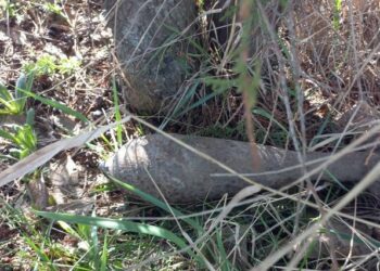 Un obuz vechi, descoperit de o patrulă a Sectorului Poliției de Frontieră Leova în timpul unei misiuni de serviciu