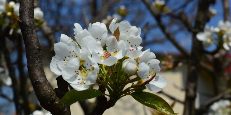 Se încălzește în weekend! Ultimele zile de martie vin cu temperaturi de până la 27 de grade