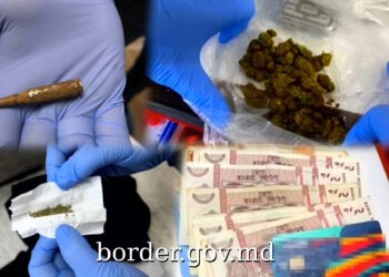 Hașiș, ecstasy, MDMA și LSD de contrabandă, de 600.000 lei – doi concubini, reținuți
