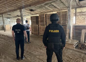 Contrabandă cu masă lemnoasă – contracarată