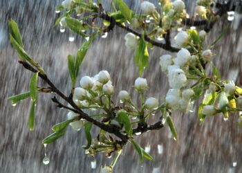 В первый день недели дождливая погода придет в Молдову