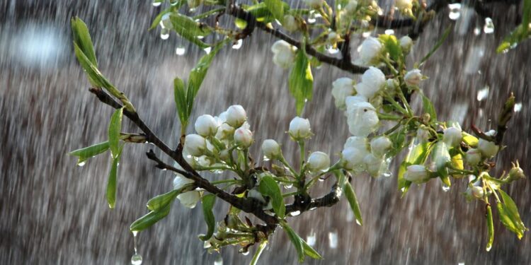 В первый день недели дождливая погода придет в Молдову