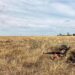 В Молдове во время учений погиб солдат-срочник. Минобороны сообщило предварительную версию случившегося