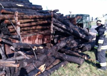 В Рышканском районе загорелся грузовик с древесиной