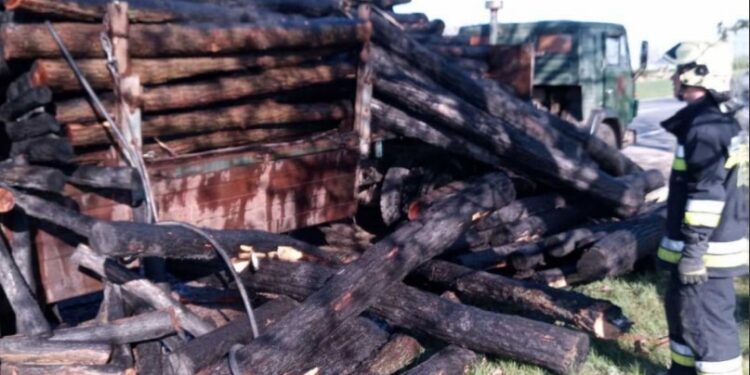 В Рышканском районе загорелся грузовик с древесиной