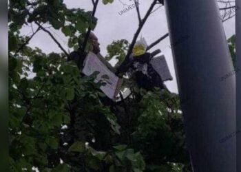 S-a urcat într-un copac de lângă Parlament cu o sticlă de benzină: Un bărbat amenință că își va da foc