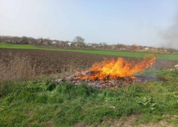 Aproape 60 de persoane, pedepsite pentru că au dat foc vegetației uscate