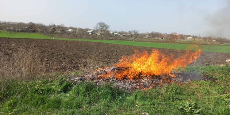 Aproape 60 de persoane, pedepsite pentru că au dat foc vegetației uscate