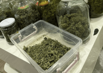 Aveau dorguri de peste 5.000.000 de lei: Un moldovean, un ucrainean și un georgian — reținuți