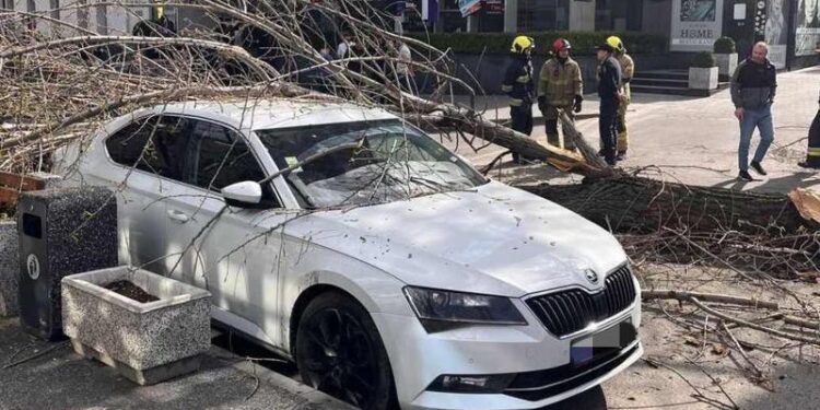 A căzut din cauza vântului puternic: Două automobile, distruse de un copac, în capitală