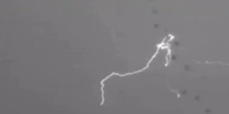 В Пуэрто-Рико молния ударила троих детей: момент поражения попал на видео