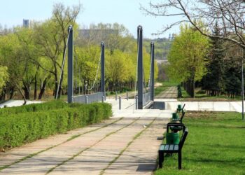 В одном из столичных парков обнаружен пакет с боеприпасами