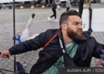 Резня в прямом эфире: в Германии мужчина с ножом ранил участников антиисламского митинга