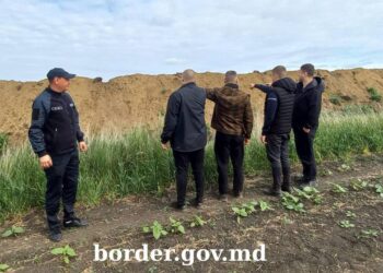 Пограничники задержали 4 граждан Украины, которые пытались незаконно попасть в Молдову