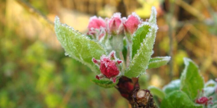 A intrat în vigoare codul galben de îngheț, valabil în toată țara. Precizările meteorologilor