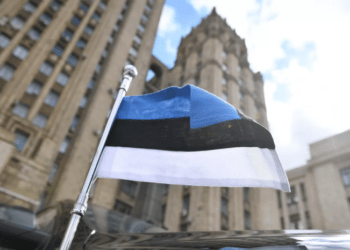 Советник президента Эстонии заявил о возможности отправки войск на Украину