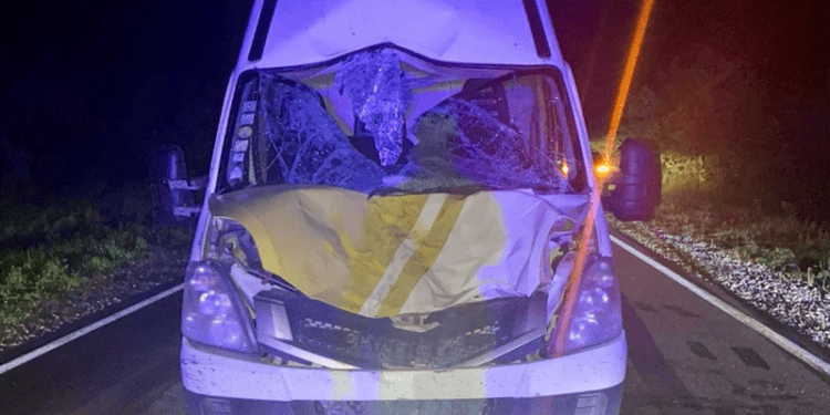 Un cal, lovit mortal de un microbuz, pe un traseu la Suruceni: Cum s-a întâmplat accidentul