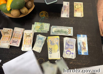 Piese auto de contrabandă de 6.000.000 lei și patru persoane bănuite, urmare a perchezițiilor în mai multe localități