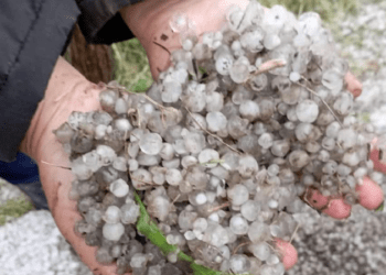 Ploaie cu grindina cât bobul de mazăre la Hîncești: Mai multe culturi agricole au fost distruse