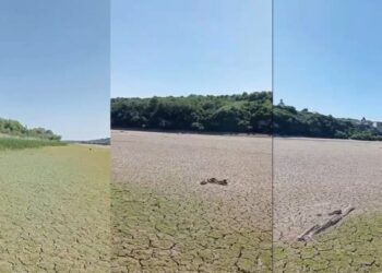 Imagini șocante: Râul Nistru seacă: „Nu am mai văzut așa ceva în viața mea”