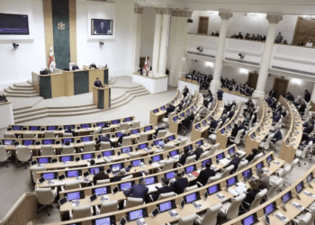 В парламенте Грузии депутаты подрались из-за закона об иноагентах