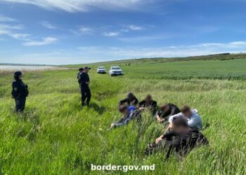 Шестеро украинцев пойманы при нелегальном пересечении границы