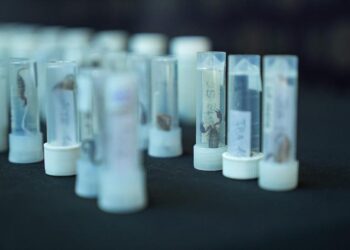 Curatorul unui muzeu din New York, arestat la Istanbul după ce a încercat să iasă din țară cu 1.500 de scorpioni și păianjeni