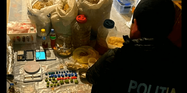 Grupare specializată în prepararea și comercializarea drogurilor, destructurată de oamenii legii