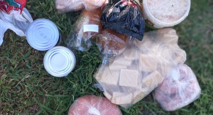 Trei angajate a unei instituții medicale din raionul Soroca au fost prinse furând mâncarea beneficiarilor