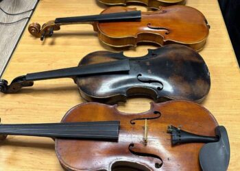 На Леушенской таможне у пассажира изъяты четыре незадекларированные скрипки