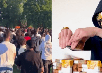 В Швейцарии блогер сбросил мешок денег на своих подписчиков: в давке пострадал ребенок