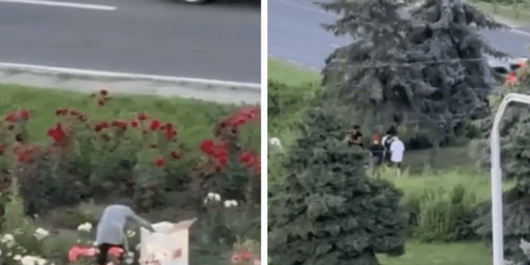 В Кишиневе несколько человек срывали с клумб цветы и продавали их. Что говорит полиция