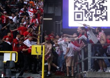 Турки и грузины устроили массовую драку на Евро