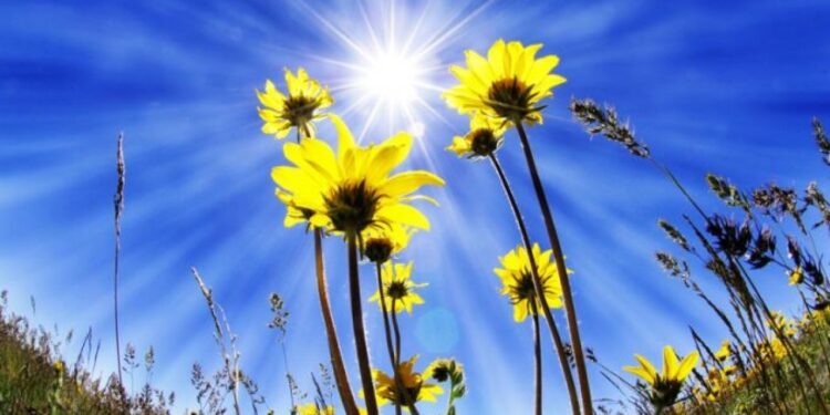 Ливни с грозами и жара до 33 °C: Синоптики рассказали, какой будет погода на этой неделе