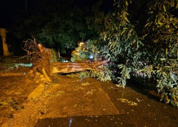 Из-за сильного ветра в Кишиневе пострадал мужчина. 88 населенных пунктов Молдовы остались без света