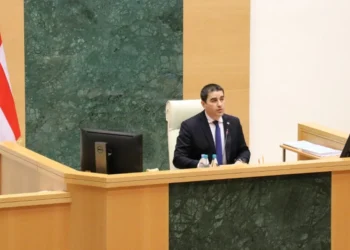 У «Грузинской мечты» длинные скрепы