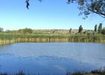 Tragedie fără margini: Un copil de doar 12 ani s-a înecat în iazul de la Ghidighici
