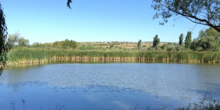 Tragedie fără margini: Un copil de doar 12 ani s-a înecat în iazul de la Ghidighici