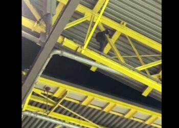 Teribilism periculos la Euro 2024. Un bărbat s-a urcat pe acoperișul stadionului Dortmund în timpul meciului Germania – Danemarca