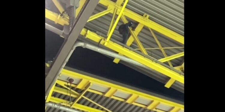 Teribilism periculos la Euro 2024. Un bărbat s-a urcat pe acoperișul stadionului Dortmund în timpul meciului Germania – Danemarca