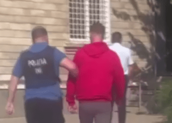 Vindea narcotice aduse prin Contrabandă din Portugalia: Un bărbat din nordul țării – reținut