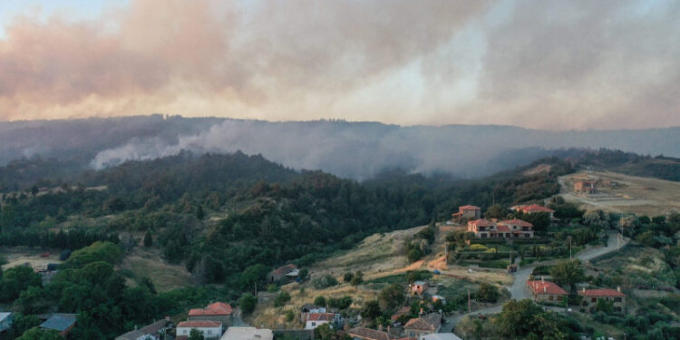Incendii în Turcia. Cel puțin 11 oameni au murit, alți zeci sunt răniți iar sute de animale au fost cuprinse de flăcări